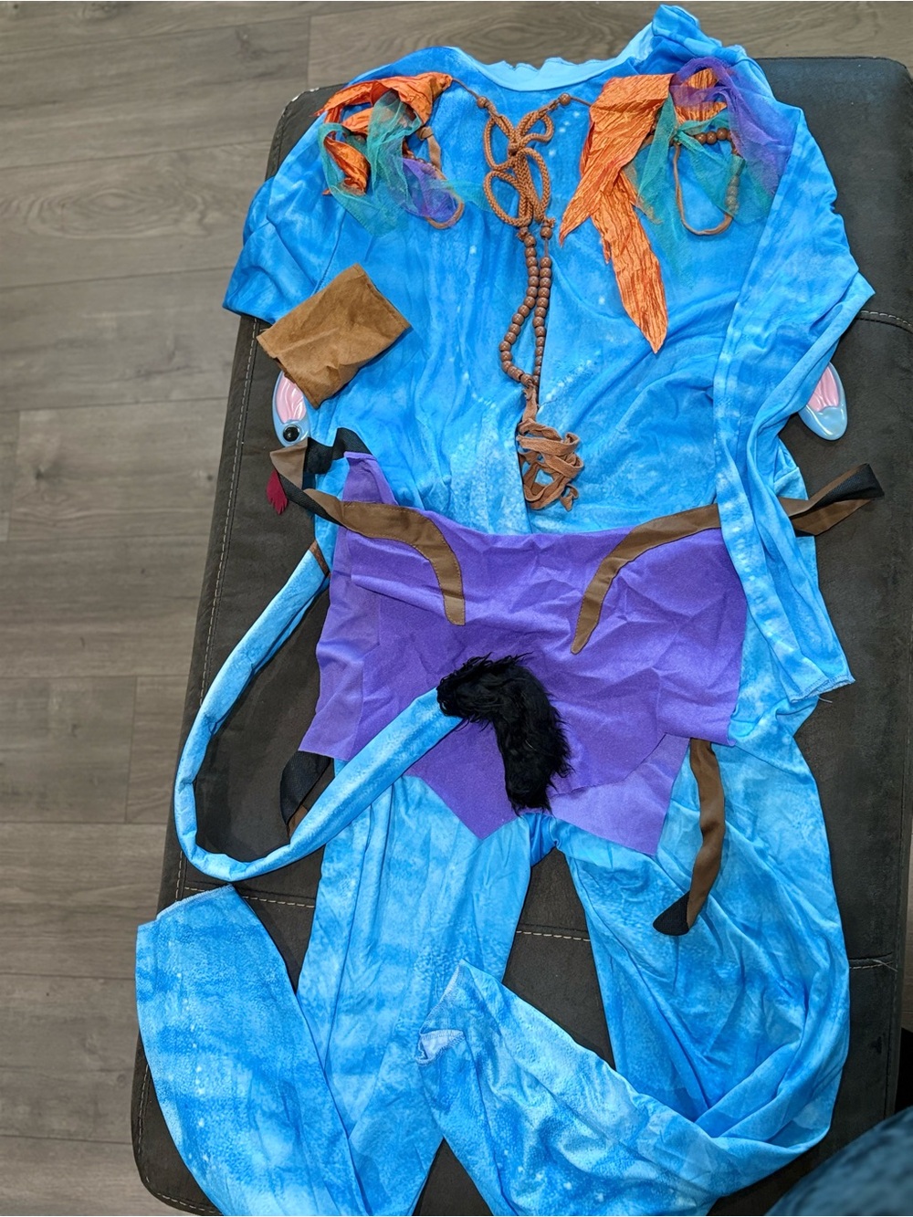 Adult Avatar costume
